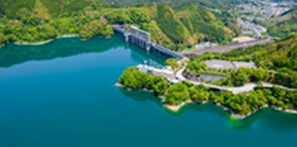 【よ～いドン】高知県の海鮮料理、居酒屋、庭園、洞窟を紹介