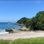 【土曜はナニする】高知県の居酒屋、ラーメン、水族館 を紹介