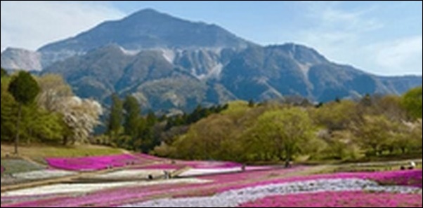 【土曜はナニする】埼玉県秩父市カフェ、イタリアン、釣り堀を紹介
