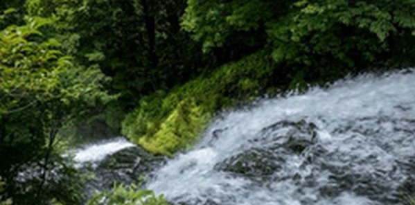 【帰れマンデー見っけ隊】栃木県日光市の有名な滝を紹介します。