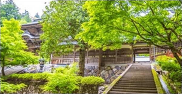 【よ～いドン】福井県の郷土料理屋 、神社 、土産屋、指定文化財を紹介