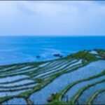 【よ～いドン】石川県白山市の食堂、滝、道路を紹介します。